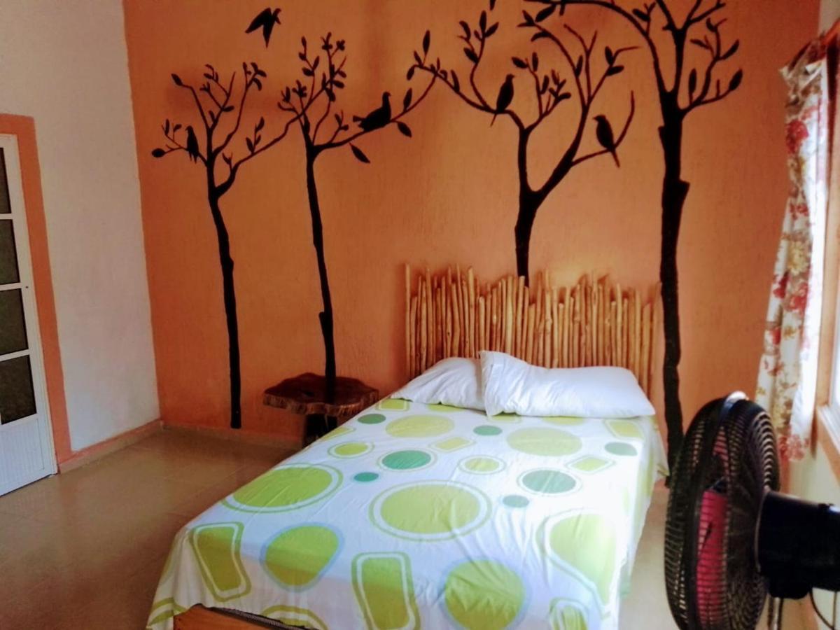 Tribe Beachville Ел Куйо Екстериор снимка